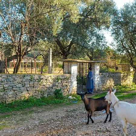 Friends Prázdninový dům Sarandë